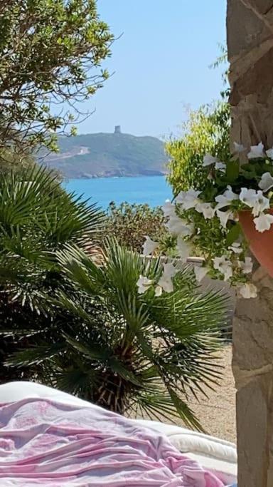 Villa Amea Torre dei Corsari Eksteriør billede